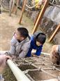人气：31  上传时间：2025/2/20 14:05:13