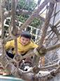 人气：28  上传时间：2025/2/20 14:05:16