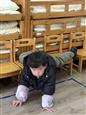 人气：33  上传时间：2025/2/20 16:26:40