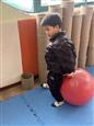 人气：28  上传时间：2025/2/26 15:25:31