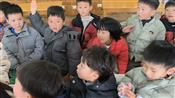 人气：31  上传时间：2025/2/28 16:35:30