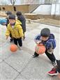 人气：38  上传时间：2025/2/28 11:50:32