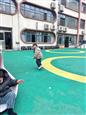 人气：24  上传时间：2025/2/28 12:05:32
