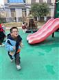 人气：24  上传时间：2025/2/28 12:05:35