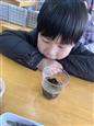 人气：29  上传时间：2025/3/19 16:22:13
