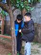 人气：29  上传时间：2025/3/20 13:26:42