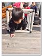 人气：40  上传时间：2025/3/20 13:34:39