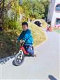 人气：30  上传时间：2025/3/27 14:16:06