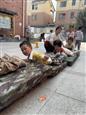 人气：34  上传时间：2025/3/28 12:37:41