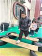 人气：16  上传时间：2025/3/31 16:53:34