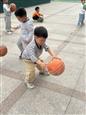 人气：16  上传时间：2025/4/10 10:43:46