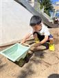 人气：16  上传时间：2025/5/14 16:06:09