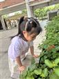 人气：22  上传时间：2025/5/22 9:16:30