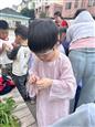 人气：2  上传时间：2025/5/29 11:05:35