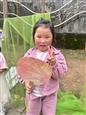 人气：5  上传时间：2025/5/29 12:54:52