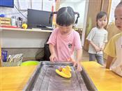 人气：5  上传时间：2025/6/19 13:53:08