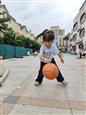 人气：4  上传时间：2025/6/20 13:47:36