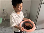 人气：3  上传时间：2025/6/29 12:22:53
